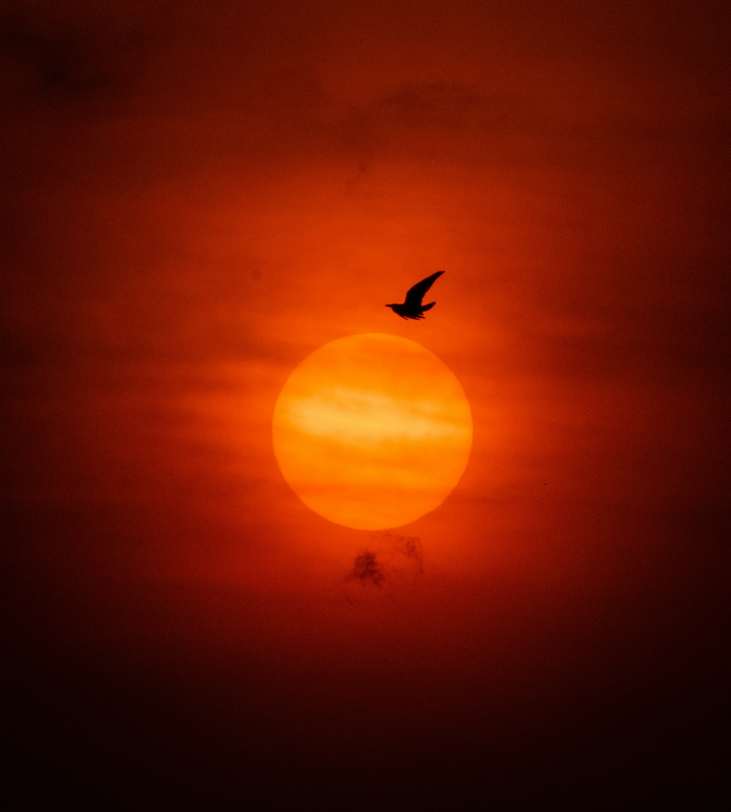The Red Sun: Imagining a New Chapter